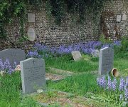 Rottingdean Churchyard - 'Adopt a Grave''