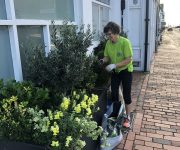 Rottingdean in Bloom